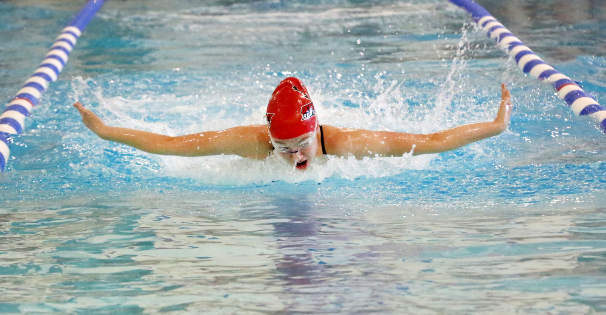 Ocean City Ridley Swimming